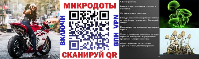 Псилоцибиновые грибы Psilocybe  Суоярви 